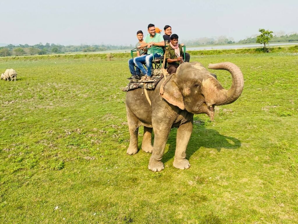 Book Kaziranga tour package from the usa